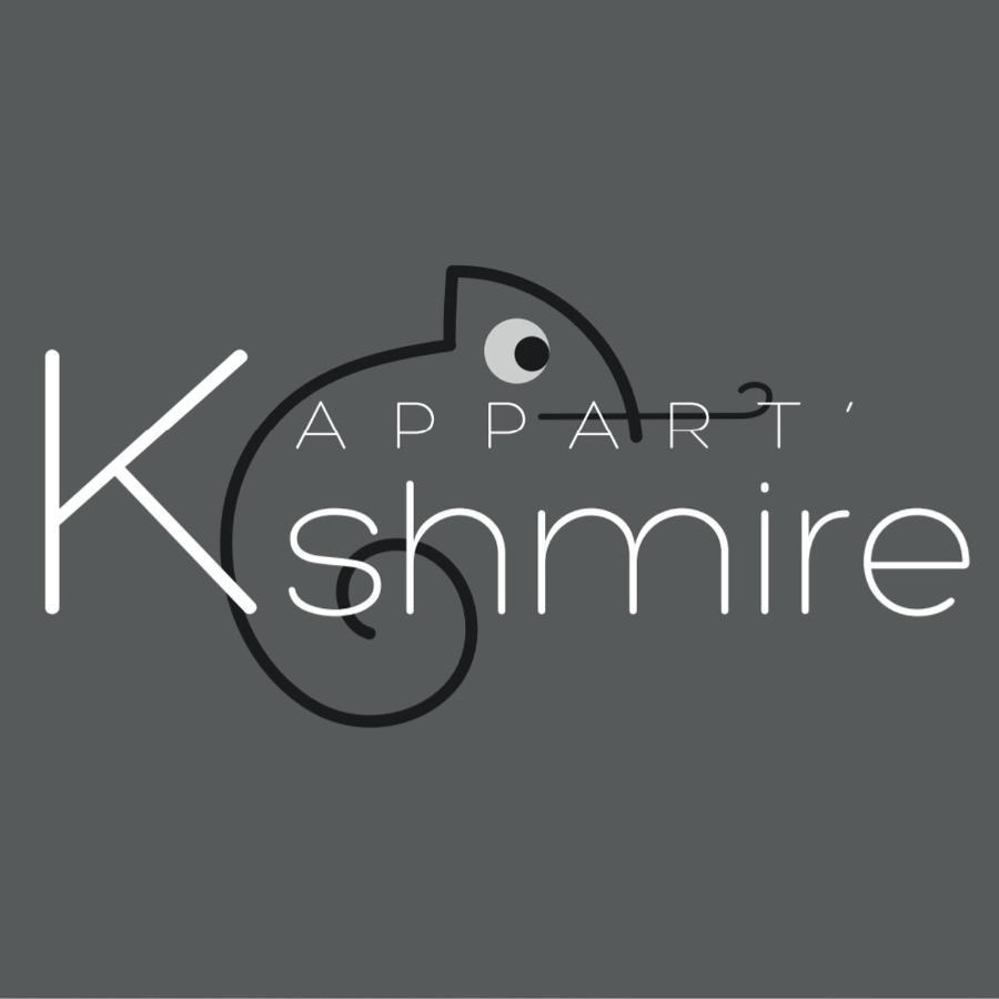 L'Appart K-Shmire- Cosy Et Spacieux, 4 Pers Ле-Ман Экстерьер фото